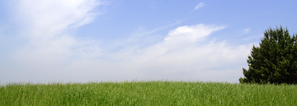 和幸保険株式会社