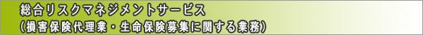 総合リスクマネージメントサービス